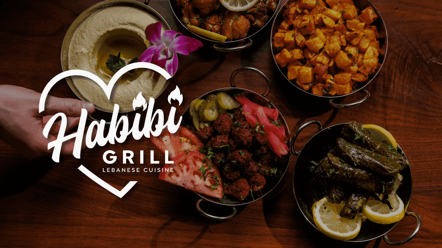 Habibi Grill logo