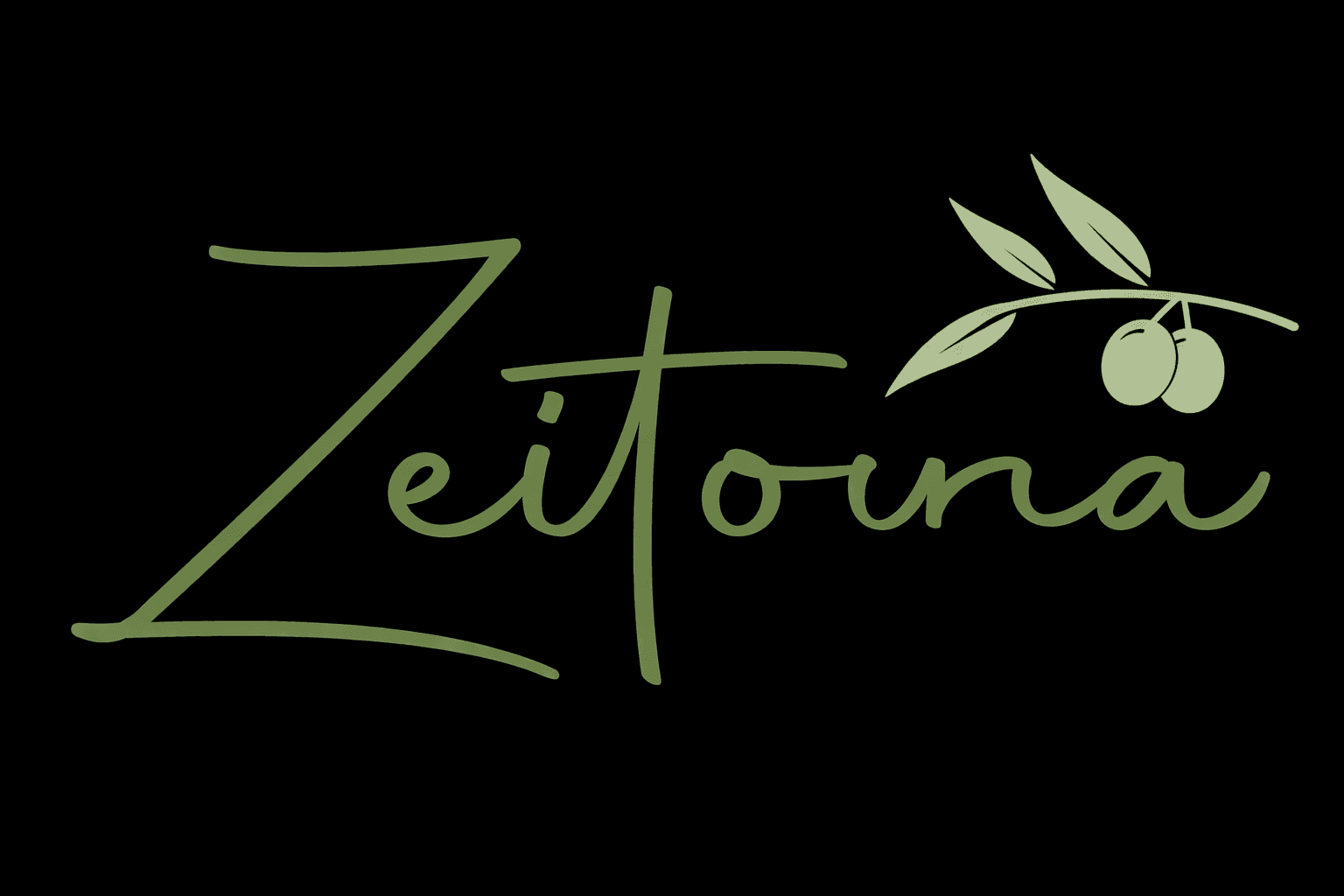 Zeitouna logo