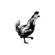Angel Chicken Kitchen logo